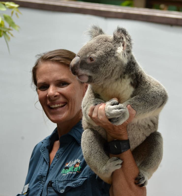 Wildlife Habitat - Koala Care